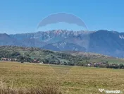 Teren Bran - Sohodol intrare 2100-4800mp 