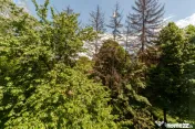 Apartament 2 camere - Expo Parc Pitesti! 