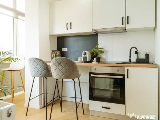 Doua Apartamente tip Studio l Sala Palatului I Investitie...