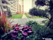 Apartament de 3 camere cu gradina 