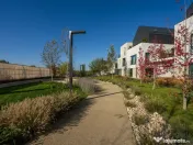 5 camere Townhouse Avalon Pipera 