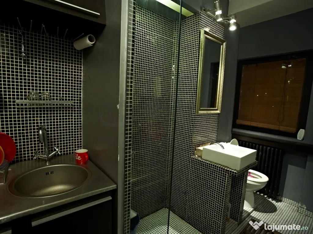Apartament 2 camere Bucuresti Cismigiu