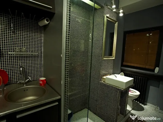 Apartament 2 camere Bucuresti Cismigiu