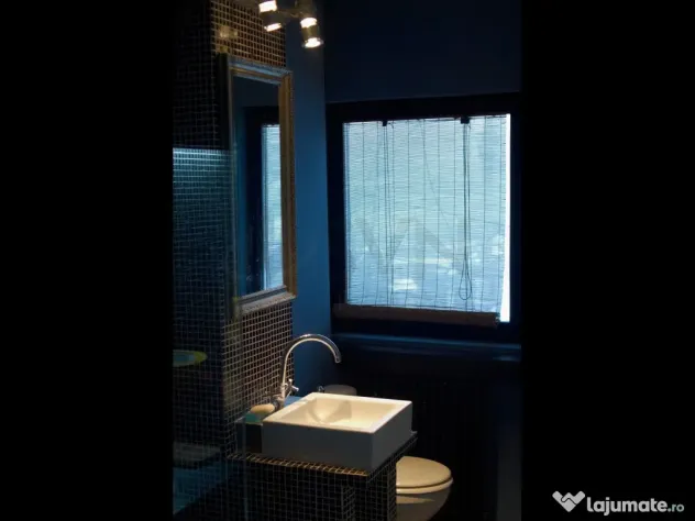 Apartament 2 camere Bucuresti Cismigiu