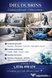 Curățenie peste tot 