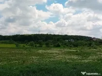 Teren de Voluntari Pipera