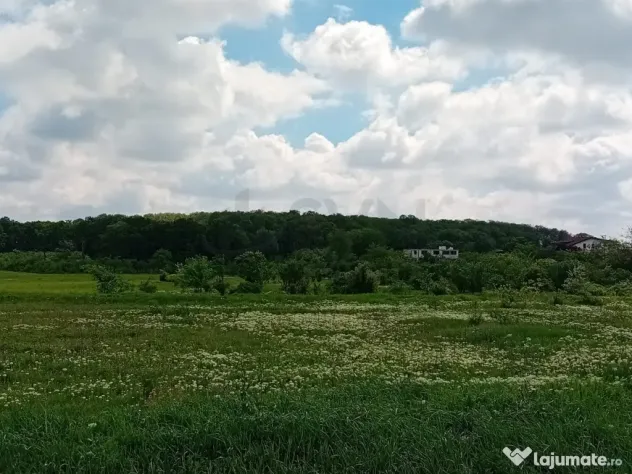 Teren de Voluntari Pipera