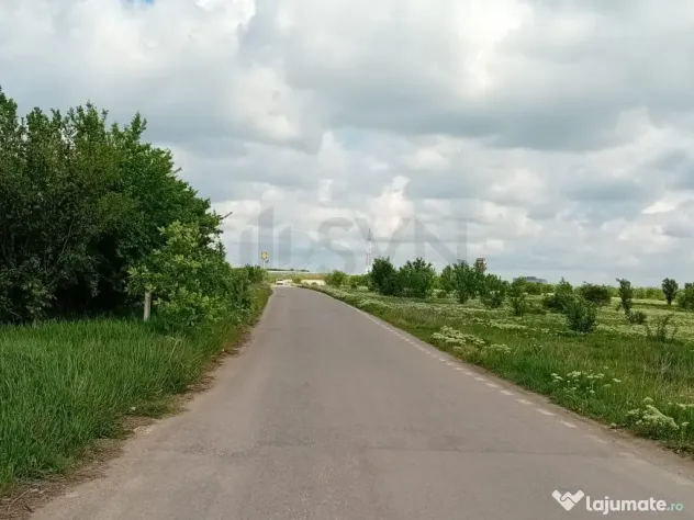 Teren de Voluntari Pipera