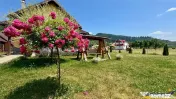 Refugiu pretios:jacuzzi, lemn masiv,2.000 mp teren,4 dormito 