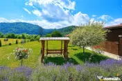 Refugiu pretios:jacuzzi, lemn masiv,2.000 mp teren,4 dormito 