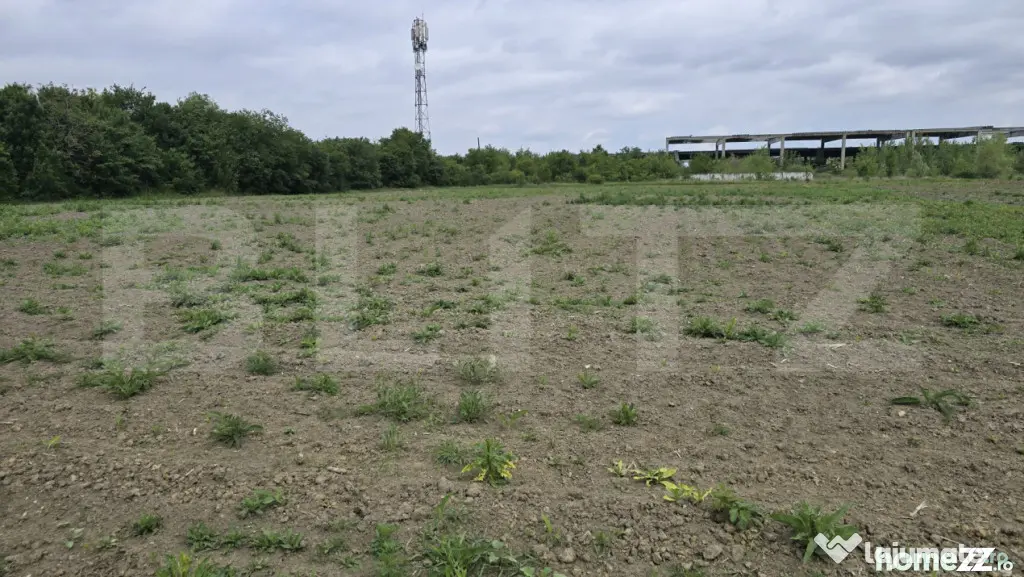 Teren extravilan, 5000 mp, zona Lucian Blaga - Satu Mare (Satu-Mare)