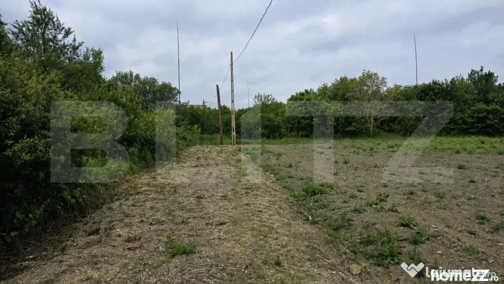 Teren extravilan, 5000 mp, zona Lucian Blaga - Satu Mare (Satu-Mare)