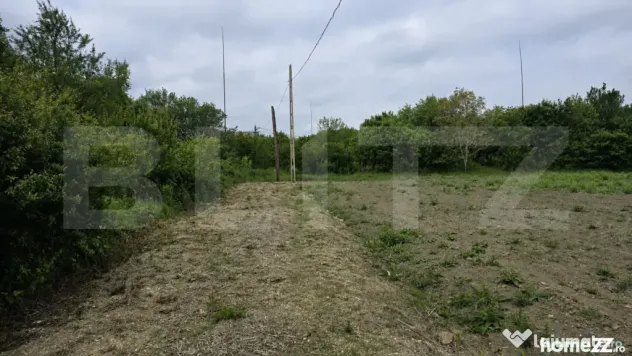 Teren extravilan, 5000 mp, zona Lucian Blaga - Satu Mare (Satu-Mare)