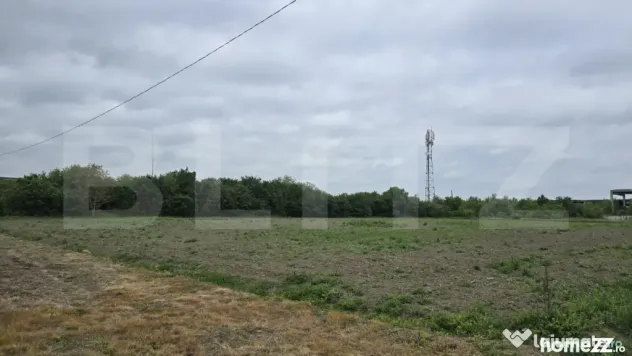 Teren extravilan, 5000 mp, zona Lucian Blaga - Satu Mare (Satu-Mare)