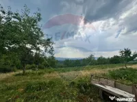 Teren in deal cu vedere panoramica Halmagiu / Sat Brusturi 