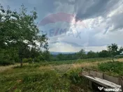 Teren pe deal cu vedere panoramica Halmagiu - Sat Brusturi