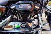 Moto Harley Davidson Sportster 1200 Custom 