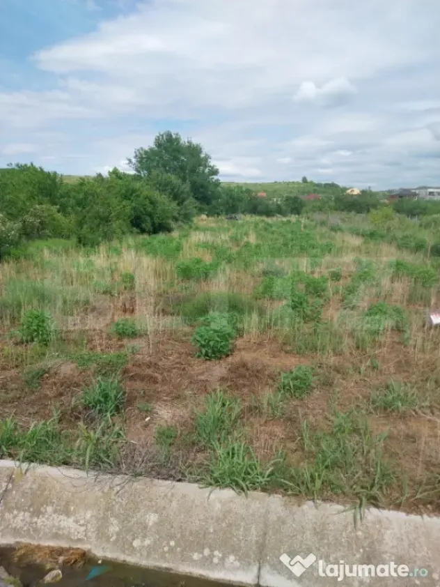 Teren intravilan, 1200 mp, Centura ocolitoare a Lugojului