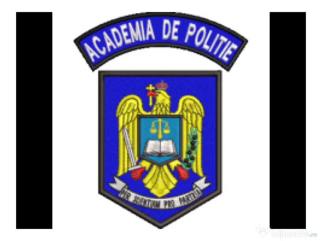 Profesor ofer meditatii (online Teams) Academia de Politie sedinta demonstrativa