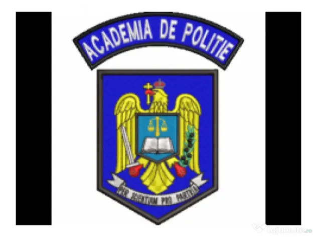 Profesor ofer meditatii (online Teams) Academia de Politie sedinta demonstrativa