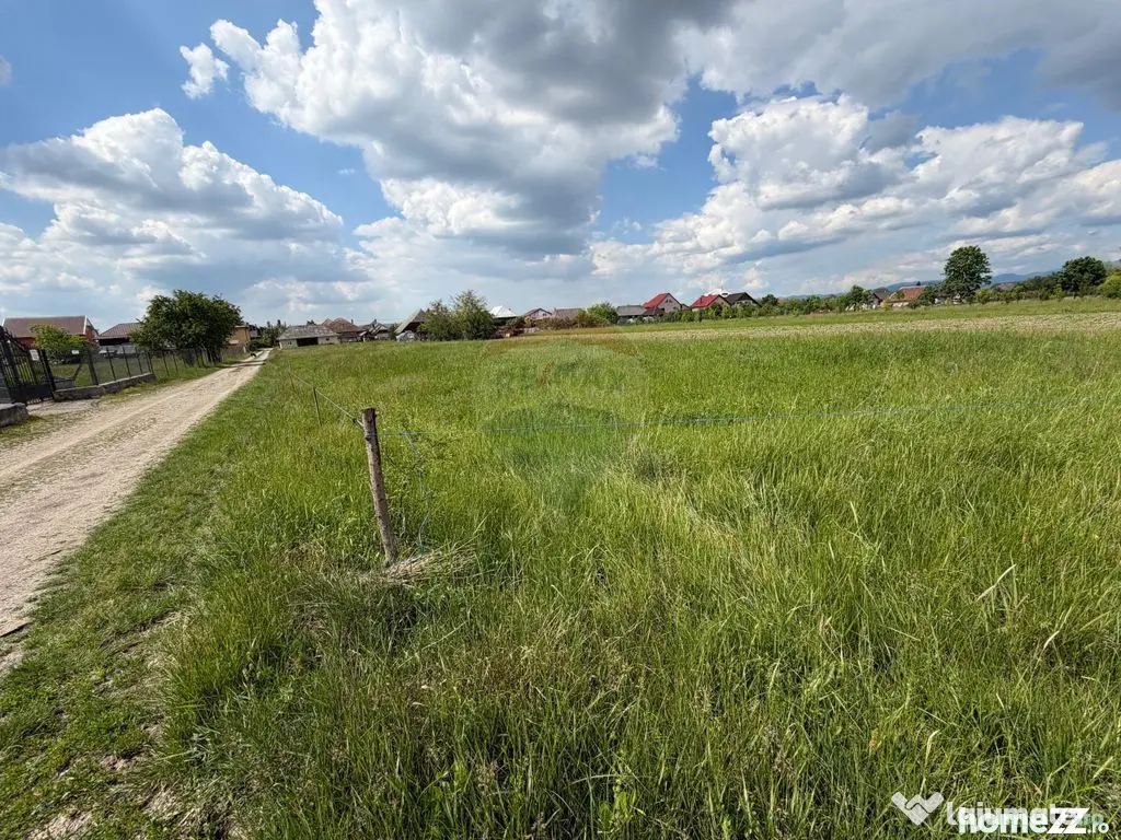 Loc casa / investitie / parcelare - TEREN in Mogosesti - Mogosesti (Maramures)