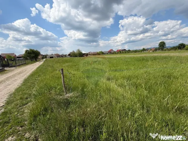 Loc casa / investitie / parcelare - TEREN in Mogosesti - Mogosesti (Maramures)