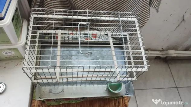 Colivie canari colivii păsări exotice
