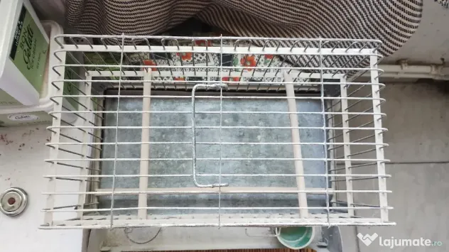 Colivie canari colivii păsări exotice