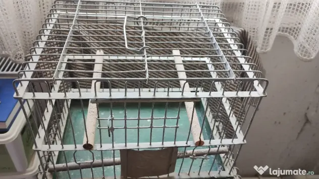 Colivie canari colivii păsări exotice