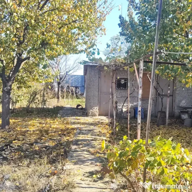 Casă Brăilița –67 mp utili, teren 350 mp, gaze, centrală, pret. Neg.