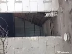 Căței metis bichon, 7 luni