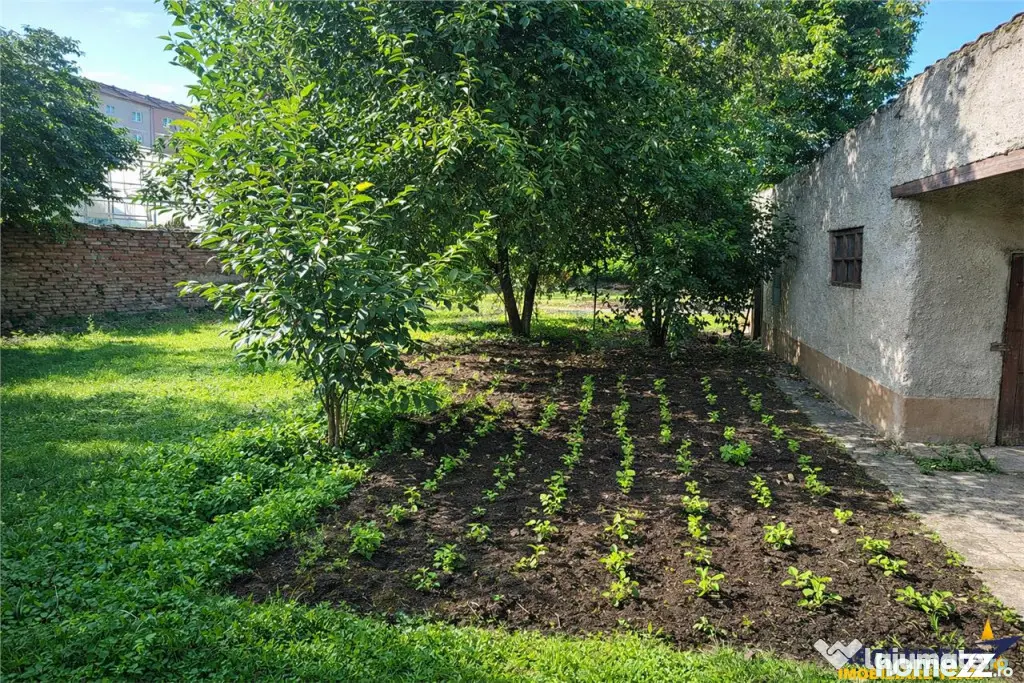 Duplex, personalizabil, cu 1.000 mp teren, Prejmer, Brasov