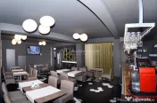 V#226;nzare Vila Spatiu Comercial-Zona Armeneasc#259; 
