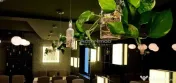 V#226;nzare Vila Spatiu Comercial-Zona Armeneasc#259; 