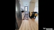 APARTAMENT SPATIOS l GARAJ l BOXA l ZAGAZULUI l HERASTRAU