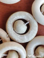Colier african din os