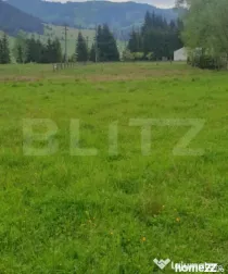 Teren intravilan, 8095 mp, zona Saru Dornei - Vatra Dornei