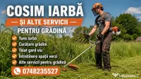 Cosit Iarbă și Întreținere Grădini Debarasări vegetale Si Multe Altele Seriozitate și Calitate