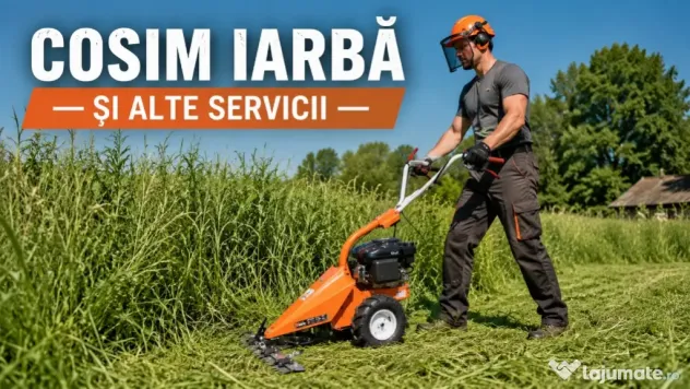 Cosit Iarbă și Întreținere Grădini Debarasări vegetale Si Multe Altele Seriozitate și Calitate