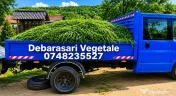 Cosit Iarbă și Întreținere Grădini Debarasări vegetale Si Multe Altele Seriozitate și Calitate