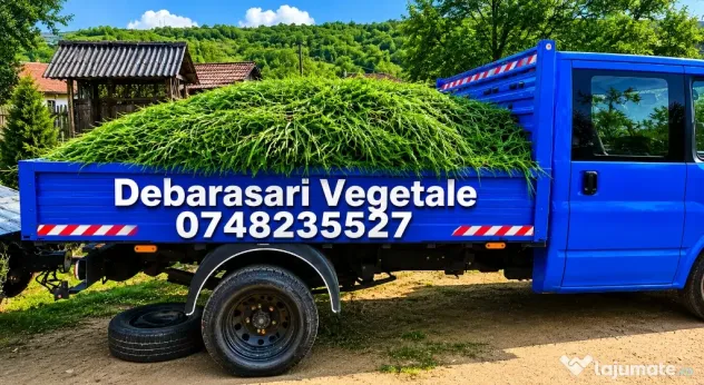 Cosit Iarbă și Întreținere Grădini Debarasări vegetale Si Multe Altele Seriozitate și Calitate