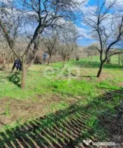 Casă la țară de vânzare – Buzoesti, Argeș | Ideală p