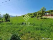 Teren Intravilan 5.000 mp în Bistrița – Zona METALLER 