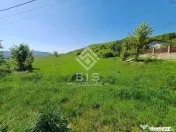 Teren Intravilan 5.000 mp în Bistrița – Zona METALLER 