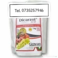 Dicarzol 50 Sp Italia 