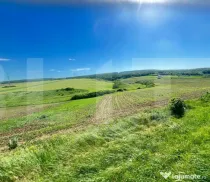 Teren intravilan de vânzare – Stâncești, la stradă