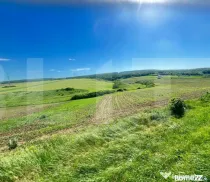Teren intravilan de vânzare – Stâncești, la stradă