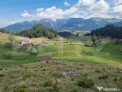 Oportunitate de Investiție – Teren Premium în Fundata, B 