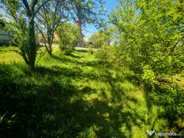 Teren intravilan 2.000 mp in Mioveni – Ideal pentru casa s