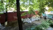 Apartament cu 2 camere 49,59 mp - cl. Grivitei - Gara de ... 